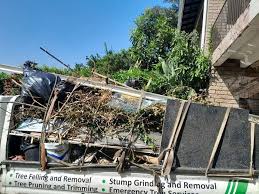 Best Construction Debris Removal  in Mccullom Lake, IL