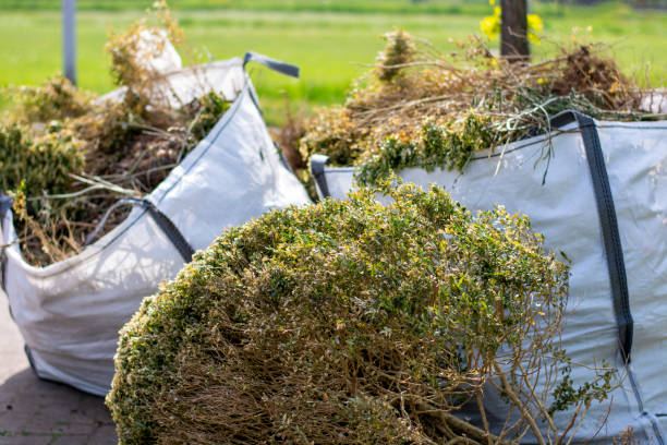 Best Hoarding Cleanup  in Mccullom Lake, IL
